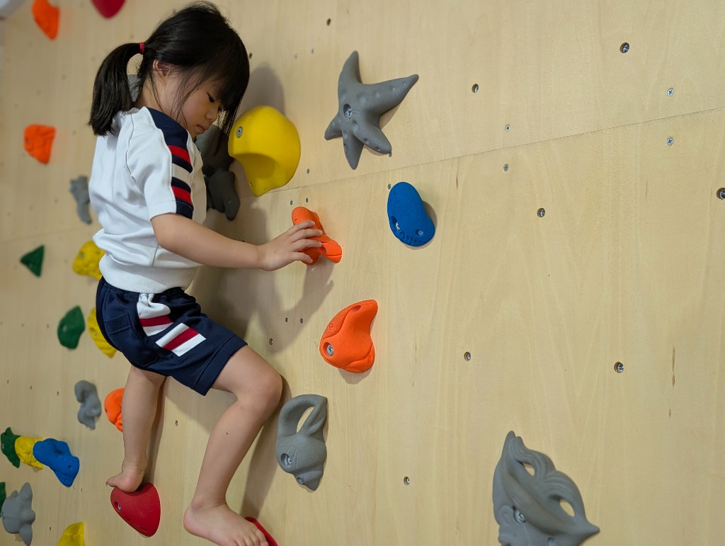 A TGA student climbing the indoor bouldering wall during physical education