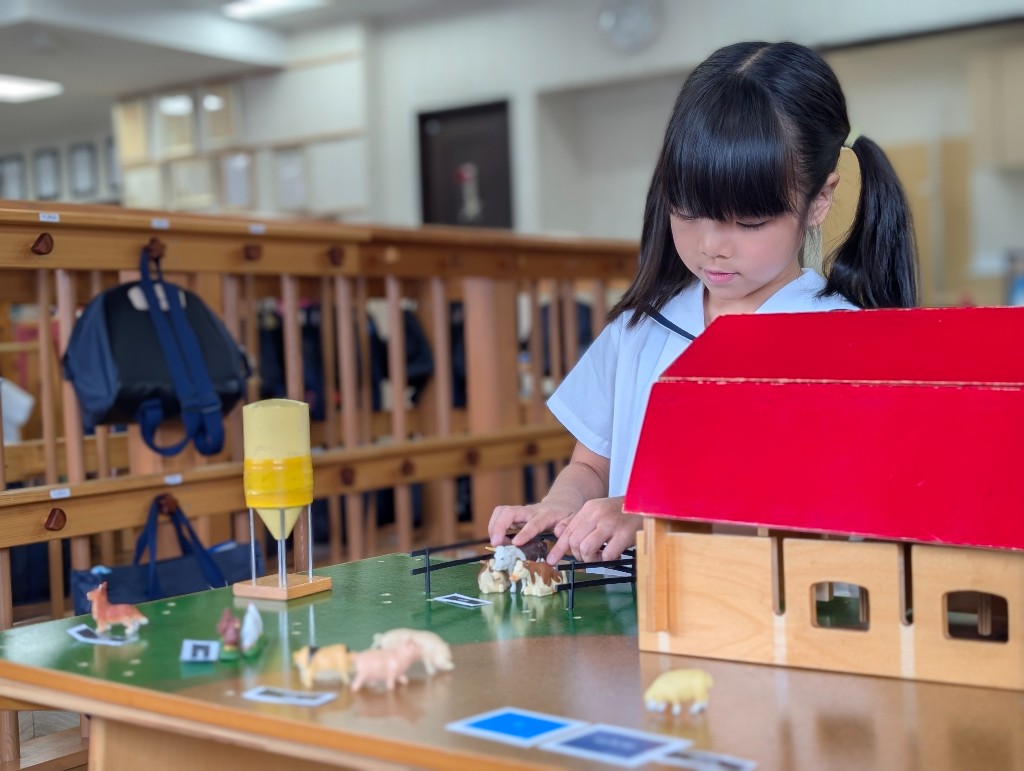 A student exploring a Montessori farm language activity with animal models and labels